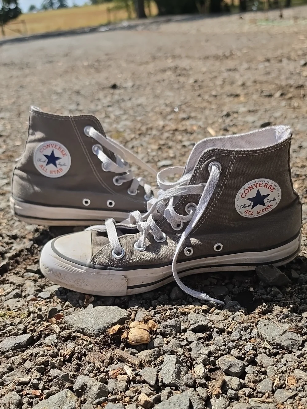 Converse Kids Gray High-Top Sneakers with White Accents